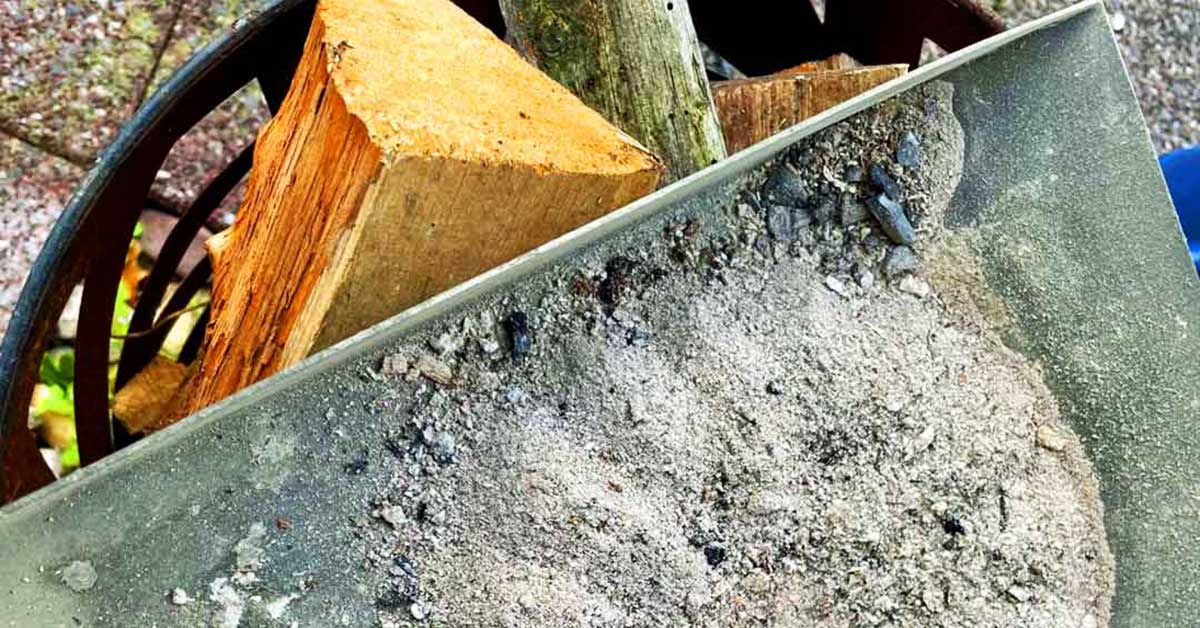 Kaminasche als Putzmittel