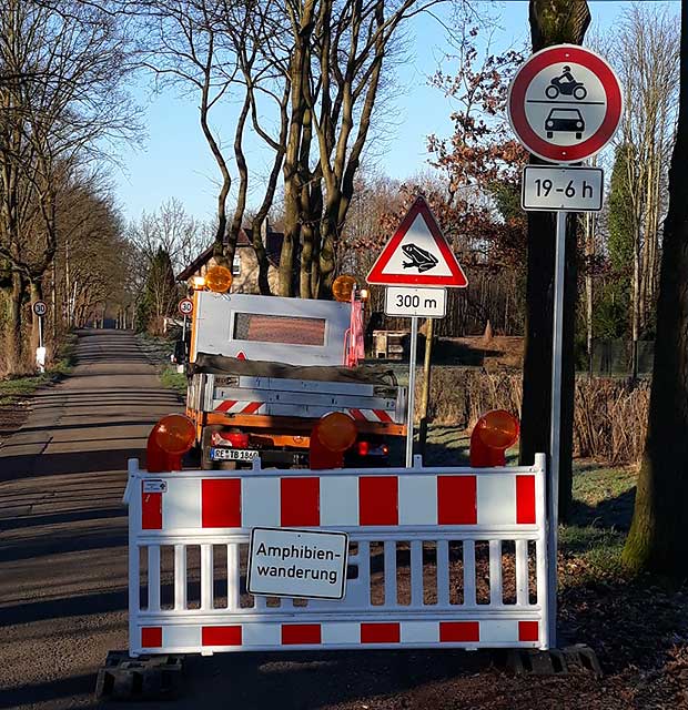 Krötenwanderung Sperrung