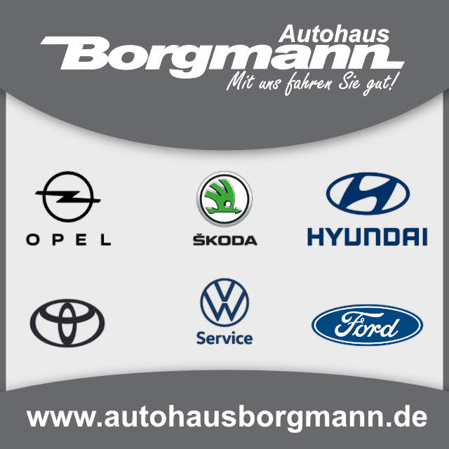 Borgmann_Online-Anzeige_2022