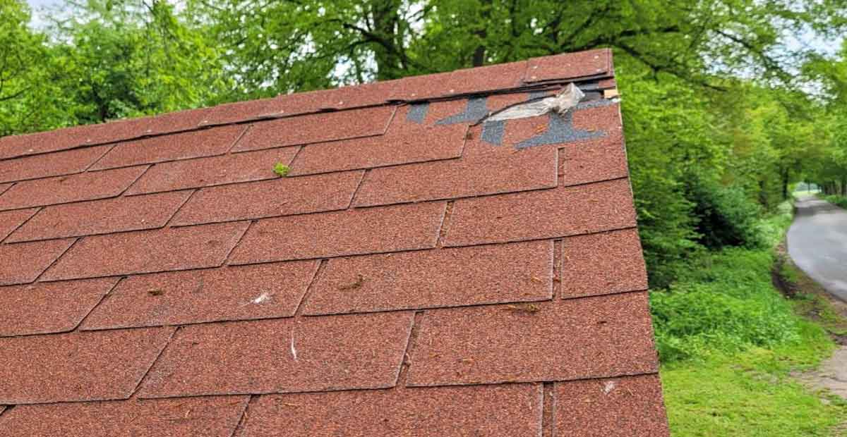 Neue-Hütte-durch-Vandalismus-zerstört-in-Raesfeld-Dorsten