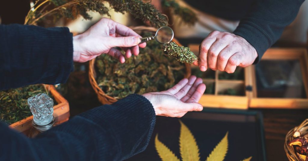 Vereine zum gemeinschaftlichen Anbau von Cannabis