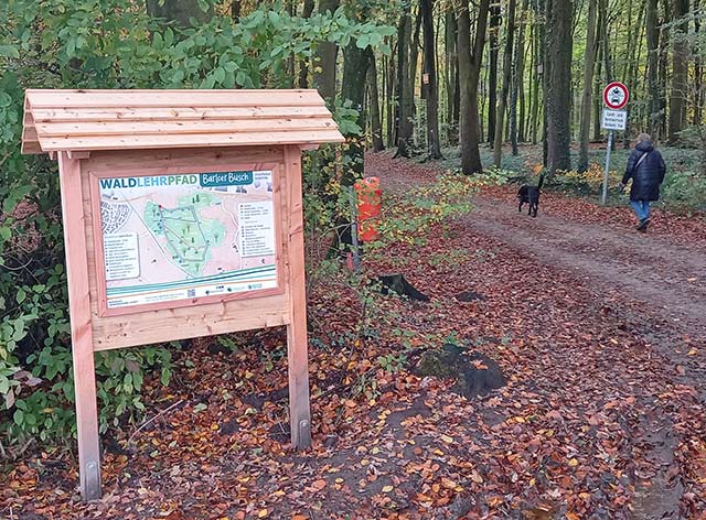 Waldlehrpfad Barloer Busch