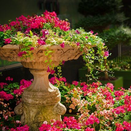 Garten im Frühling