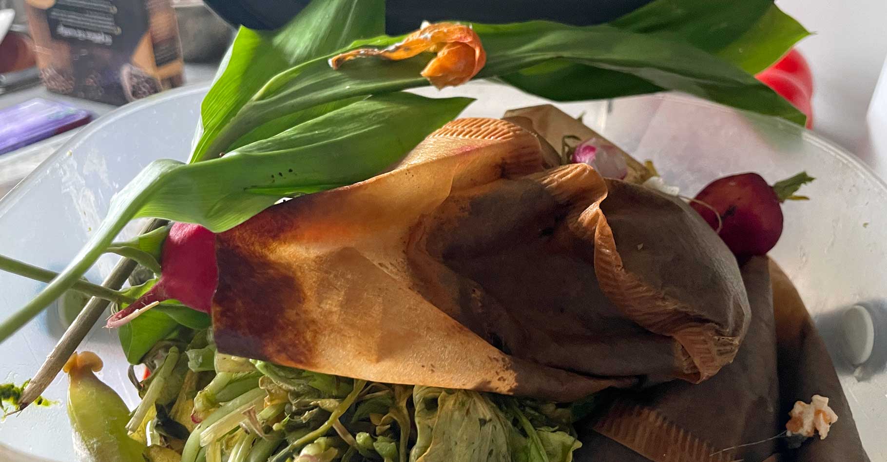 Richtig-kompostieren.-Tulpen-gehören-nicht-in-die-Biotonne