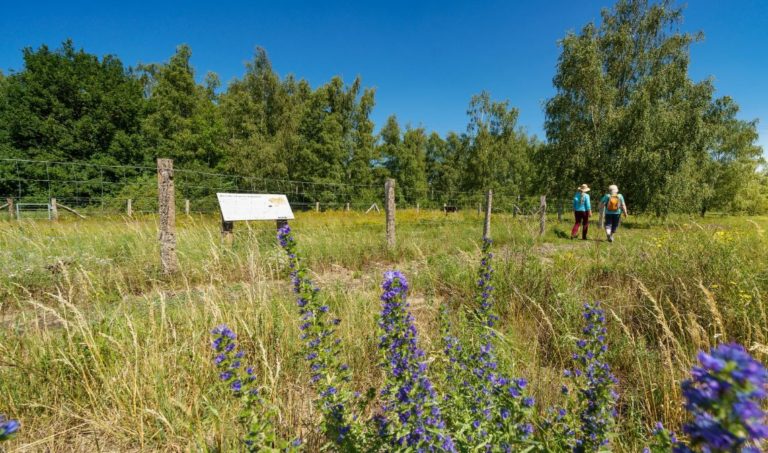 Lust auf Erlebnis vor der Haustür? Von Waldwildnis bis Industrienatur
