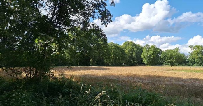 Flüchtlingsunterkunft Dimker Heide