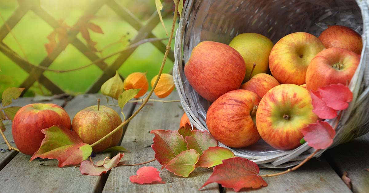 Herbst