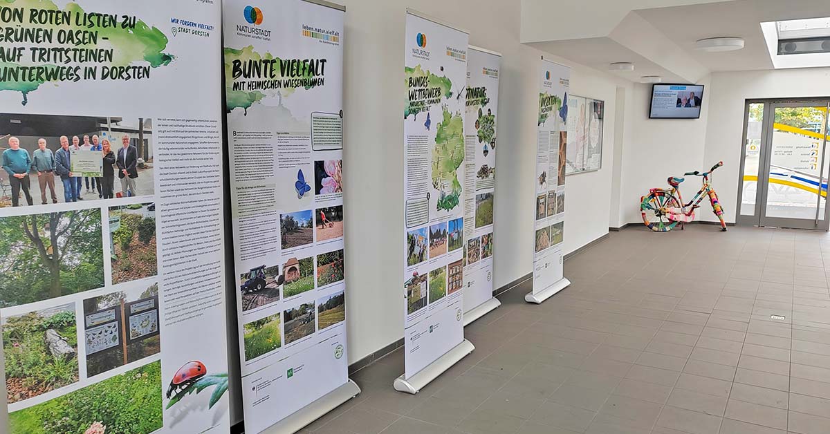 Naturstadt Ausstellung Wettbewerb