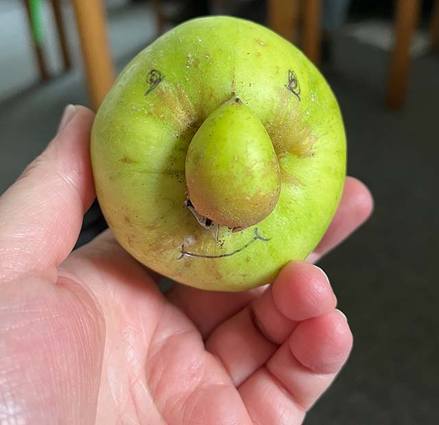 Streuobstpädagogik