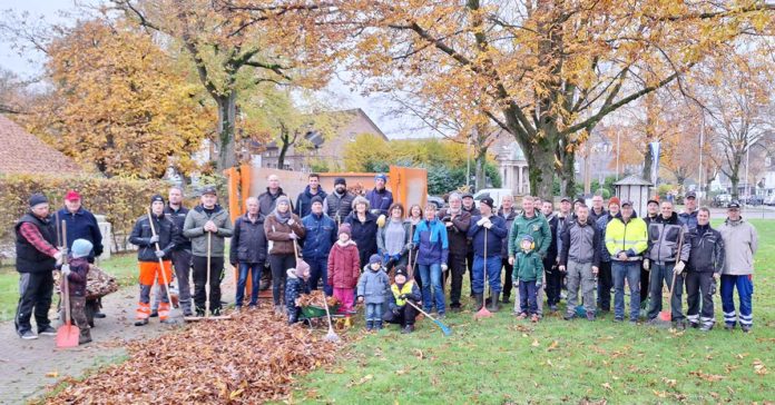 Wulfen Wappenbaum Herbstreinigung