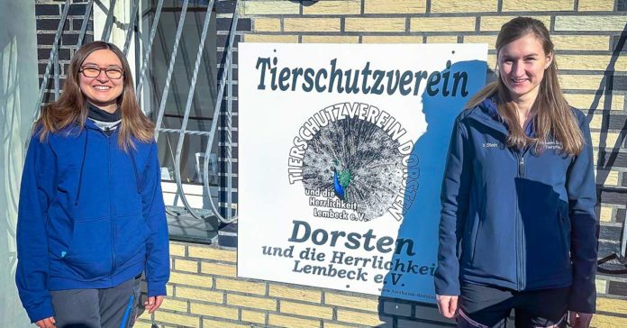 Tierheim Basar