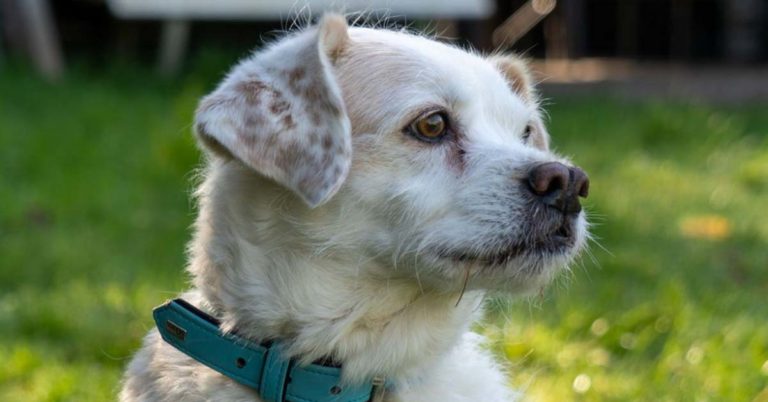 Tier der Woche: Rita