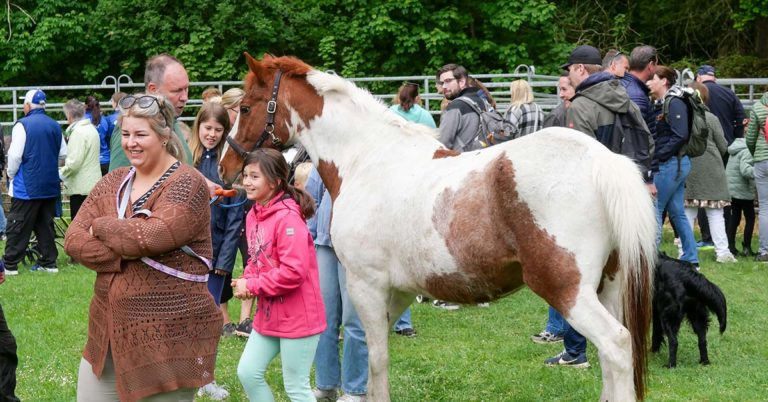Tiermarkt Lembeck 2025