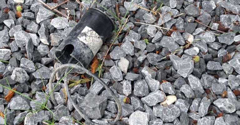 Vandalismus: LED-Lichtquelle am Wulfener Wappenbaum mutwillig zerstört
