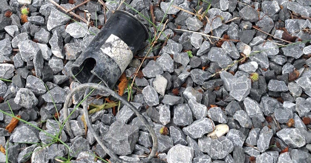 Wulfener Wappenbaum Vandalismus Sachbeschädigung