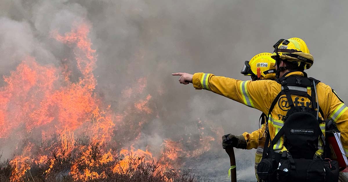 Heidebrennen Westruper Heide