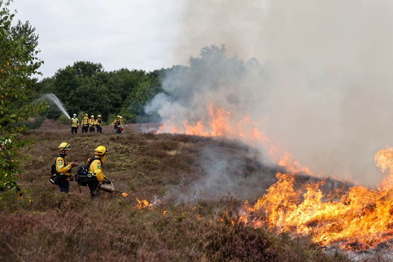 Heidebrennen Westruper Heide