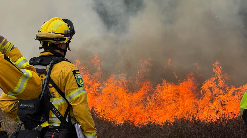 Heidebrennen Westruper Heide