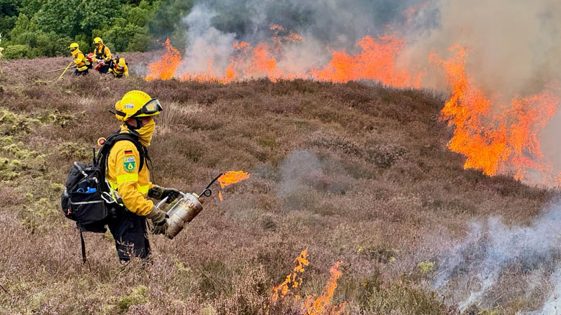 Heidebrennen Westruper Heide
