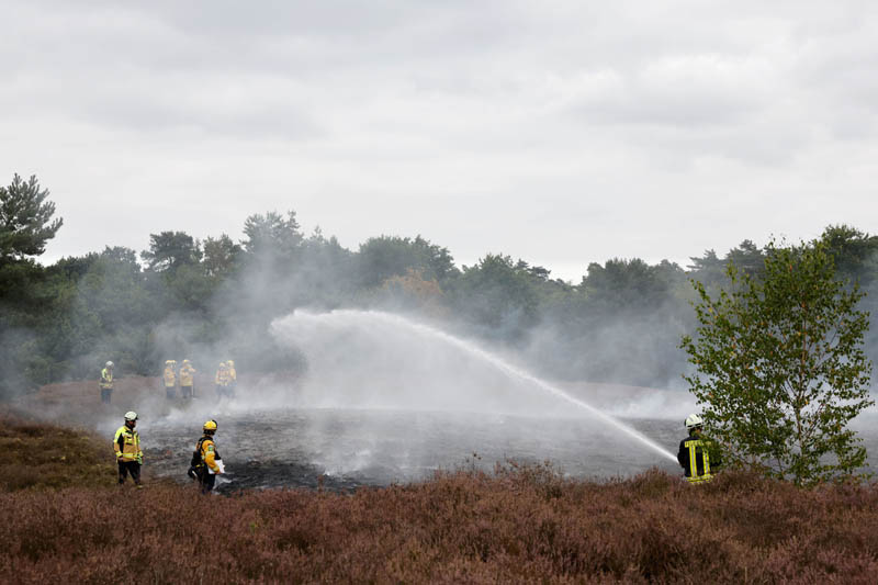 Heidebrennen Westruper Heide