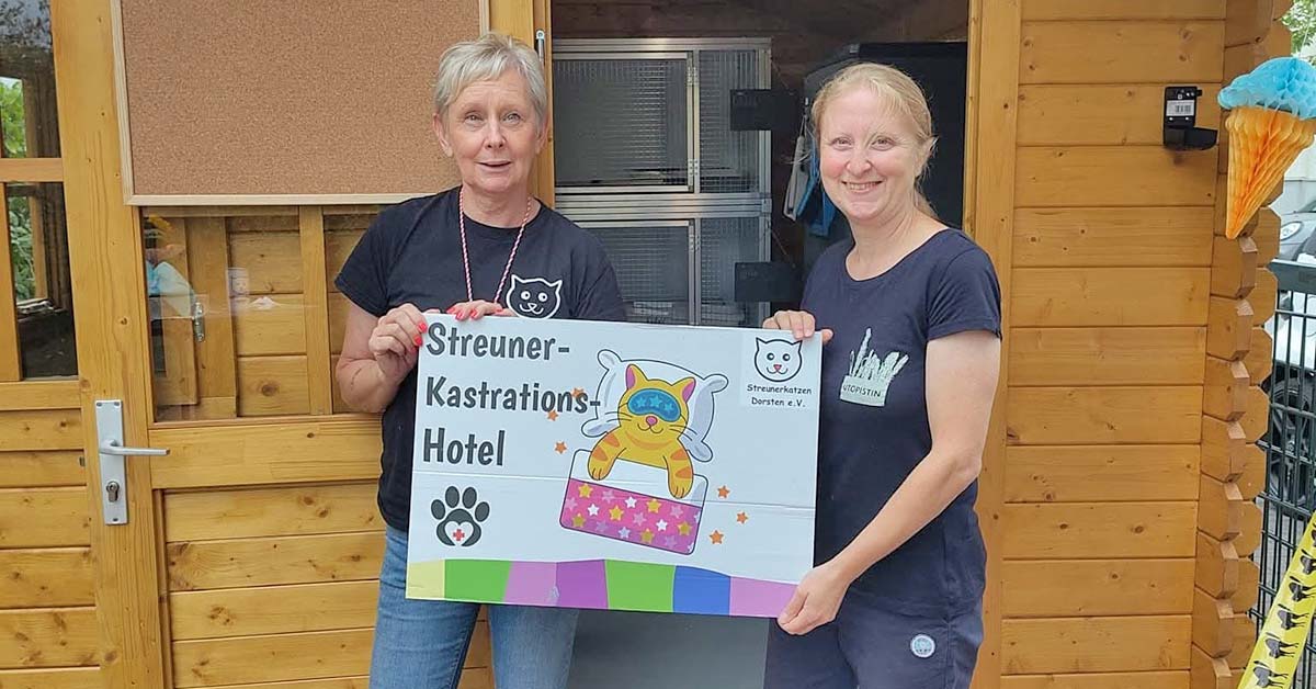 Streunerkatzen Kastrations Hotel