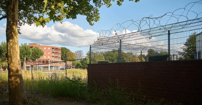 Wulfener Markt Brache 2025