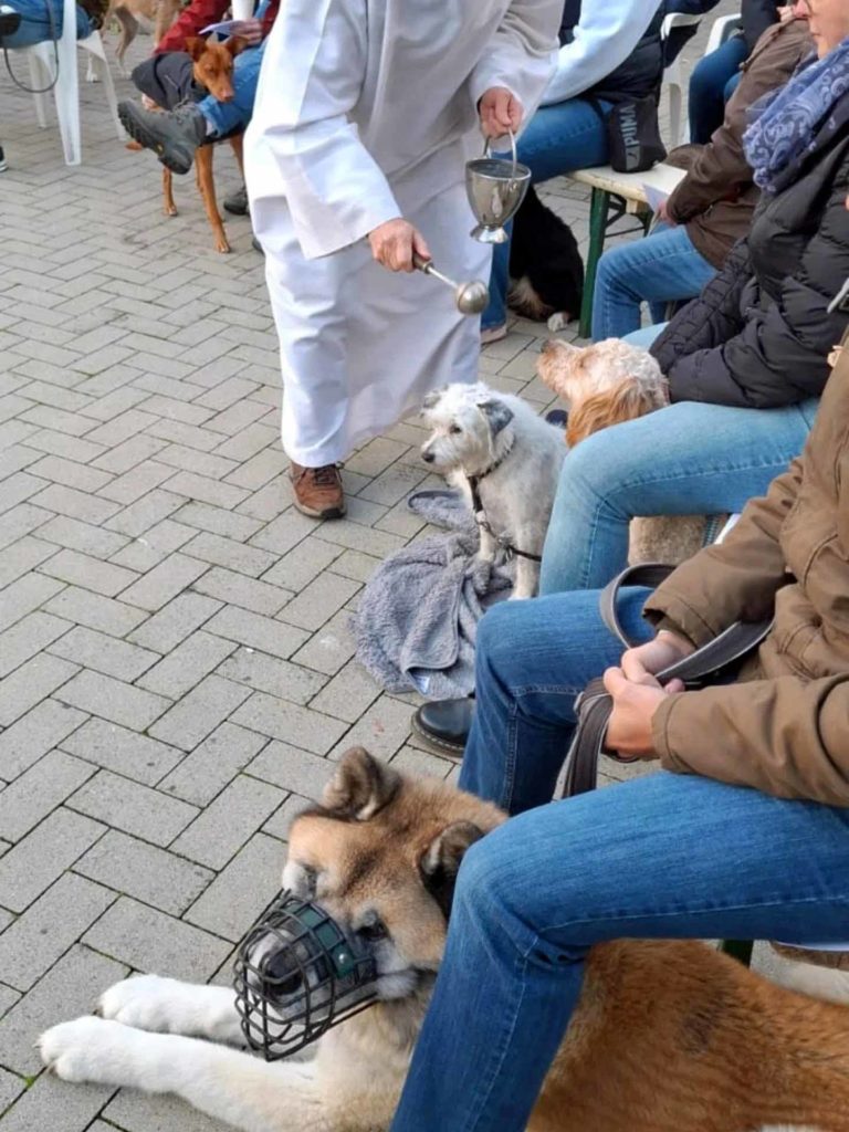Tierschutztag 2025-Tierheim Dorsten