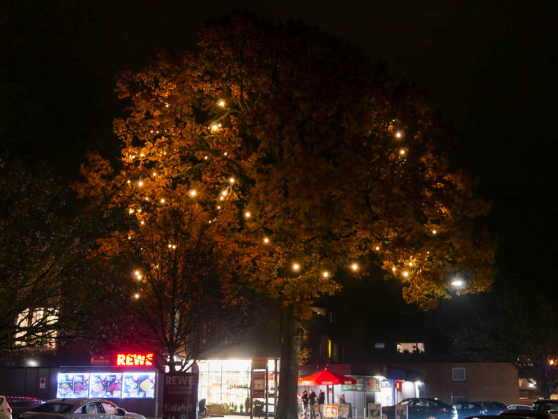 Lembeck Leuchtet 2025
