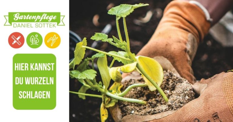 Sottek Gartenbau: Hier kannst Du Wurzeln schlagen