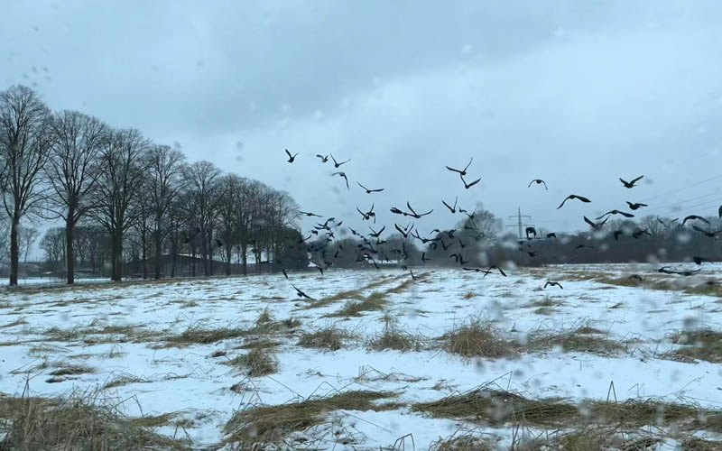 Wintereinbruch in Dorsten 7 Januar 2026