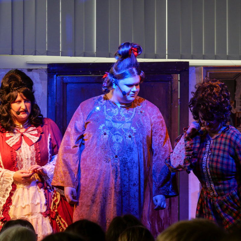 Theaterstück Cinderella in Rhade