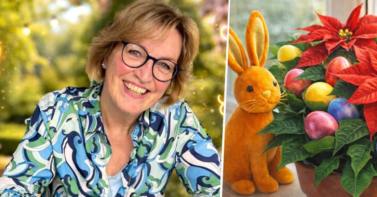 Anke Klapsing-Reich