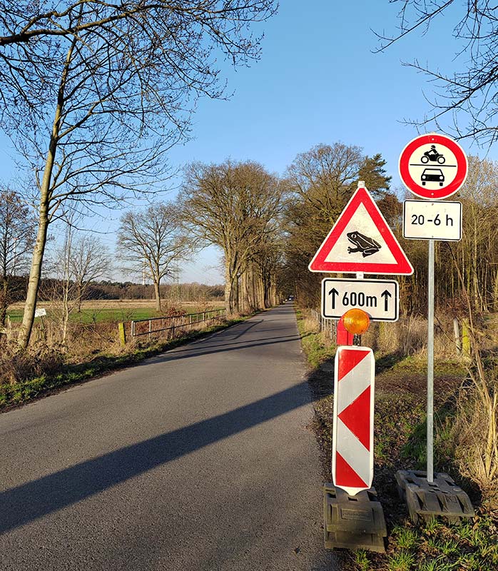 Kröte Krötenwanderung Amphibien Sperrung