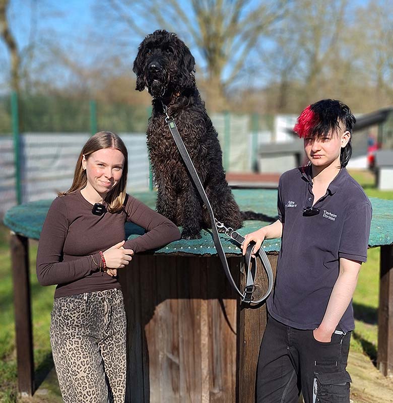 Tier des Monats Tierheim Dorsten