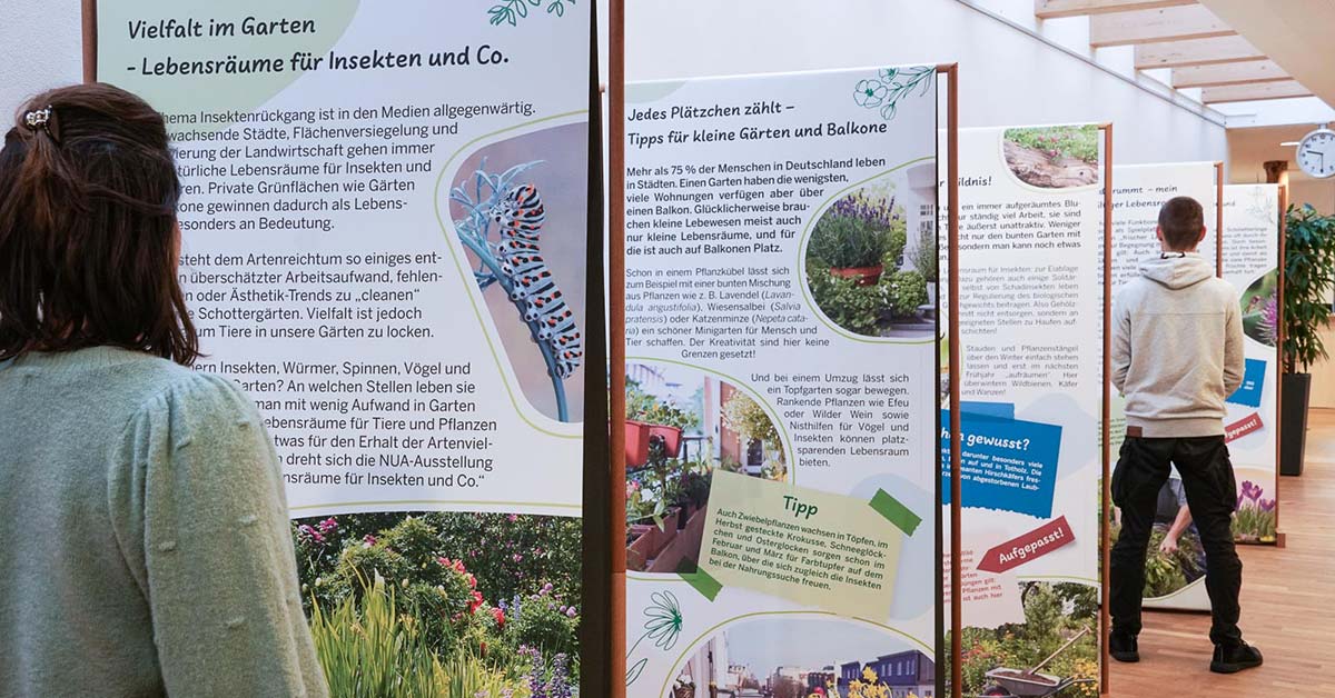 Ausstellung Vielfalt im Garten