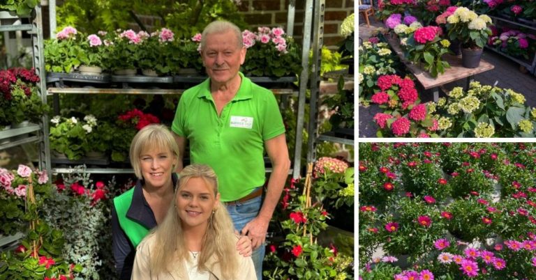 46 Jahre Blumenmarkt auf Buddes Hof