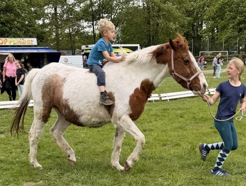 Ponyreiten beim Tiermarkt in Lembeck 2026
