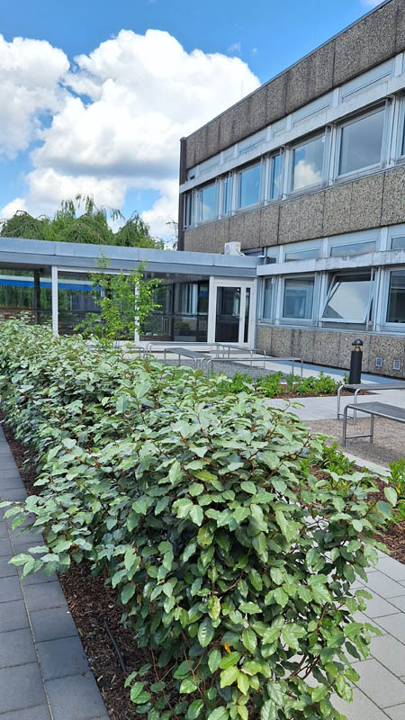 Einweihung St. Ursula Garten Realschule