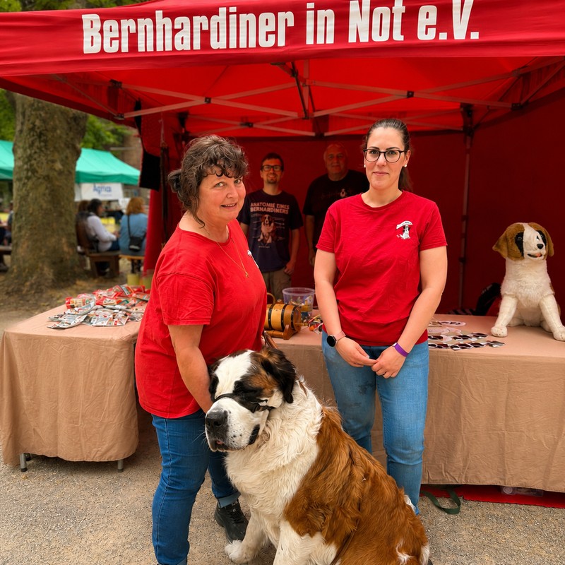 Bernadiner in Not e.V. auf dem Bello-Tag