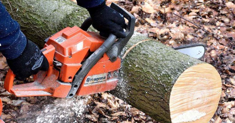 Parkbereich Forks Busch in Rhade: Arbeiten starten am 28. Mai