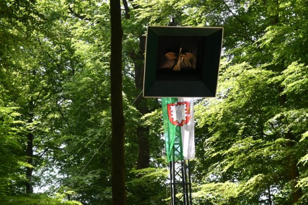 Kaiserschie&szlig;en Lembeck 2026: Foto 06 von Petra Bosse