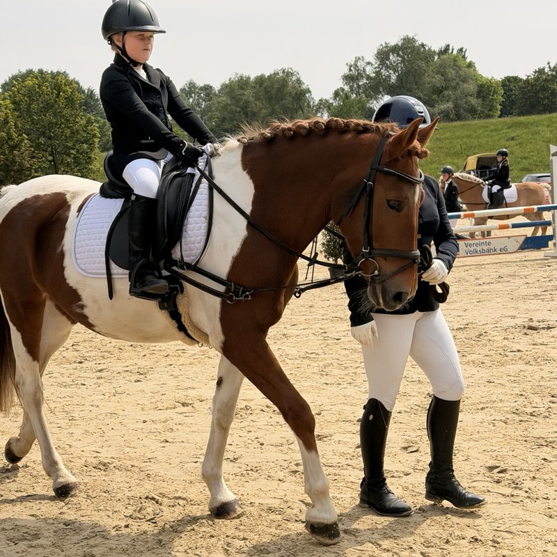 Führzügel Wettbewerb auf dem Reitturnier in Dorsten