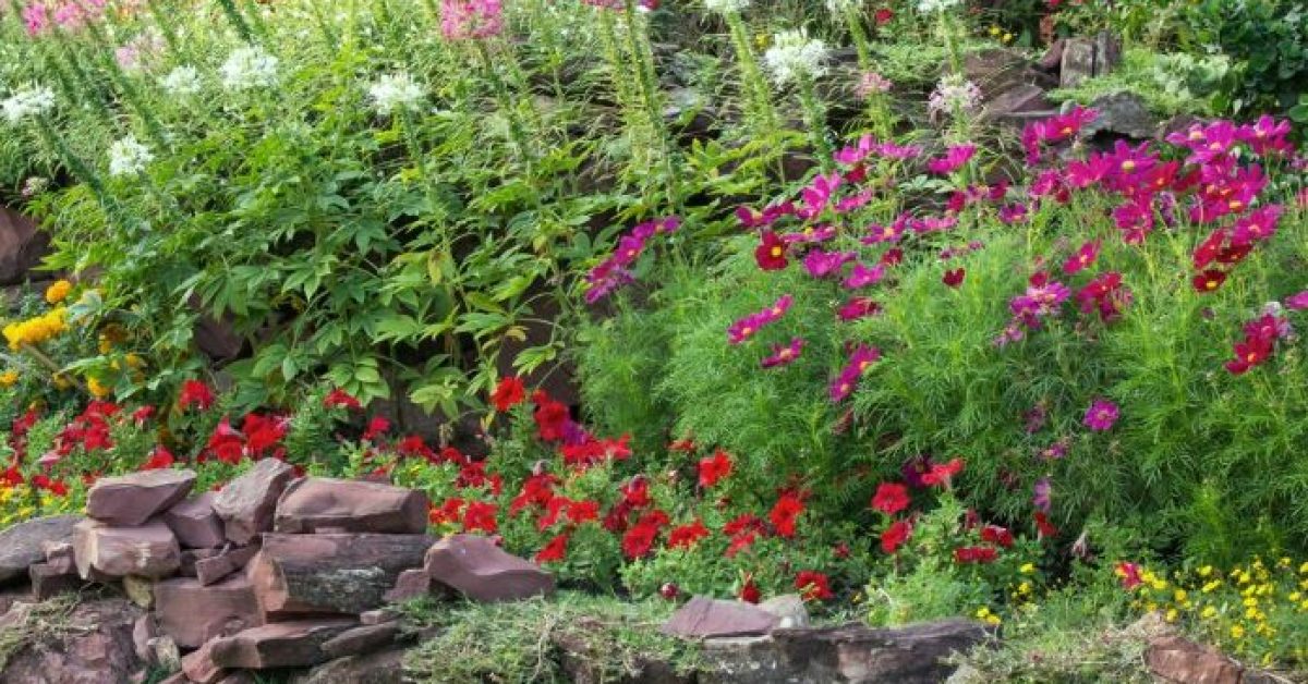 Offener Garten: Termin für Gartenfreunde in Dorsten - StadtAgentur Dorsten