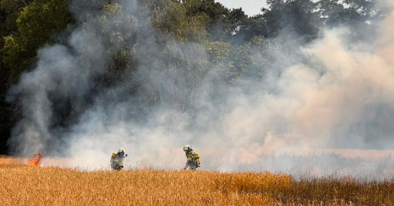Großer Flächenbrand in Dorsten-Wulfen: Marler Damm gesperrt