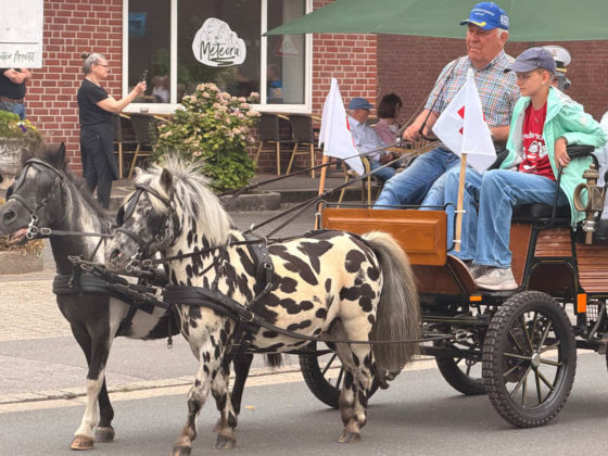Ponygespann mit Kutsche beim Sch&uuml;tzenfest Rhade 2026