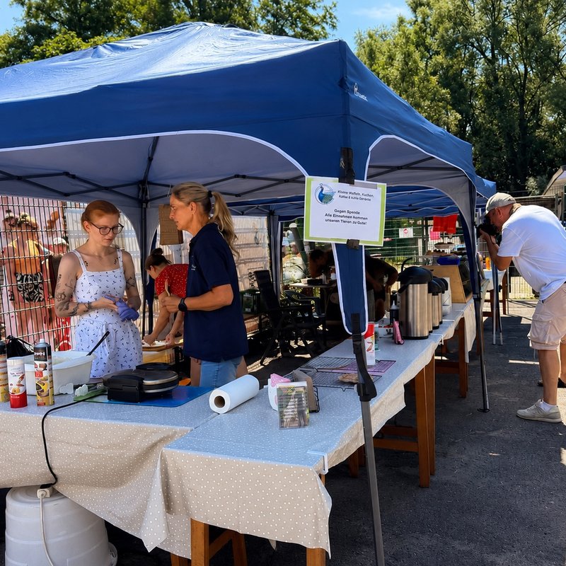 Sommerfest im Tierheim in Dorsten