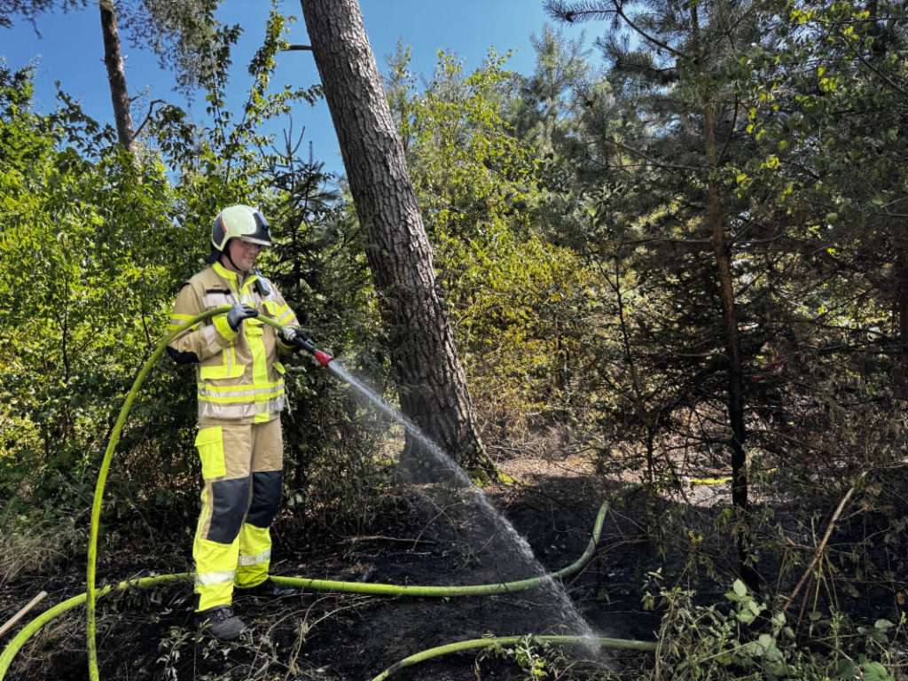 Feuerwehr löscht Waldbrand in Dorsten-Holsterhausen