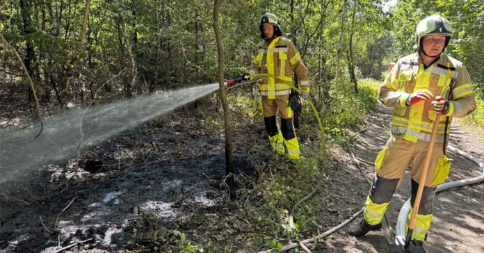 Auf rund 2000 Quadratmetern löschte die Feuerwehr den Waldbrand in Dorsten-Holsterhausen und suchte anschließend nach Glutnestern.. Foto: