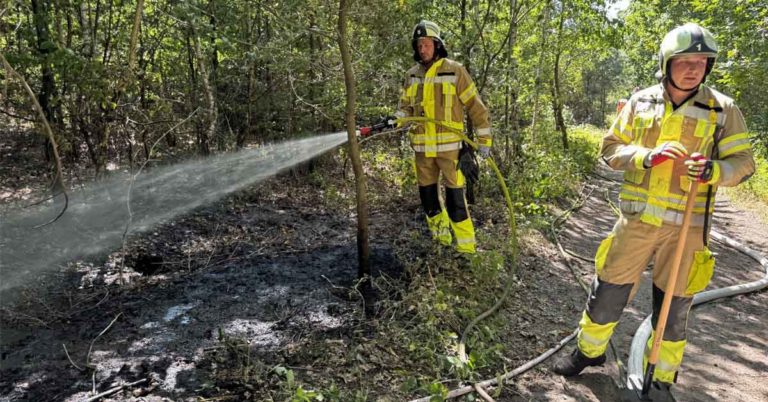 Waldbrand in Dorsten-Holsterhausen: Feuerwehr kämpft gegen Glutnester